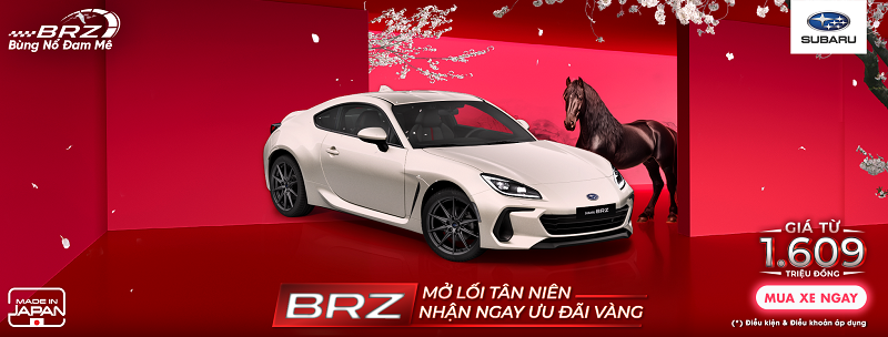 brz-banner-qyyg5jxr.png