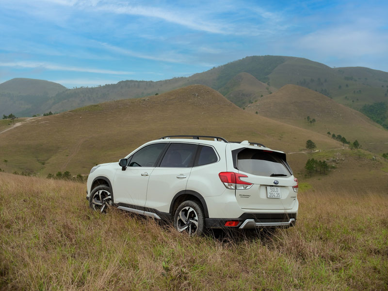 subaru-forester-co-tiet-kiem-nhien-lieu-khong